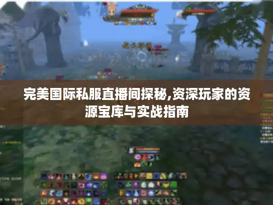 完美国际私服直播间探秘,资深玩家的资源宝库与实战指南 完美国际私服直播间探秘,资深玩家的资源宝库与实战指南