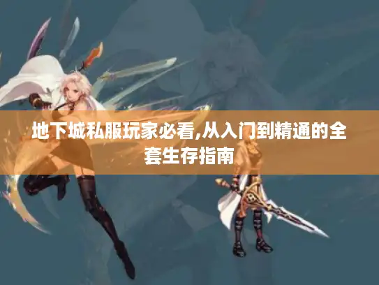 地下城私服玩家必看,从入门到精通的全套生存指南