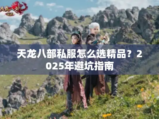 天龙八部私服怎么选精品？2025年避坑指南