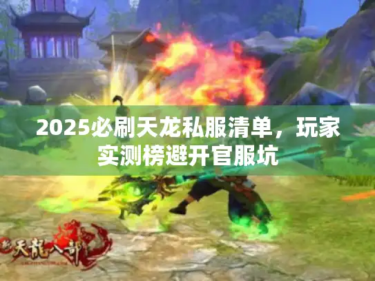 2025必刷天龙私服清单，玩家实测榜避开官服坑