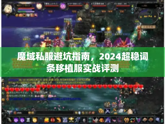 魔域私服避坑指南，2024超稳词条移植服实战评测