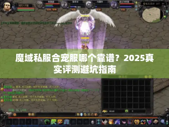 魔域私服合宠服哪个靠谱？2025真实评测避坑指南
