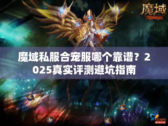 魔域私服合宠服哪个靠谱？2025真实评测避坑指南