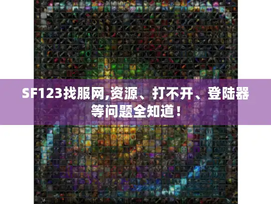 SF123找服网,资源、打不开、登陆器等问题全知道！