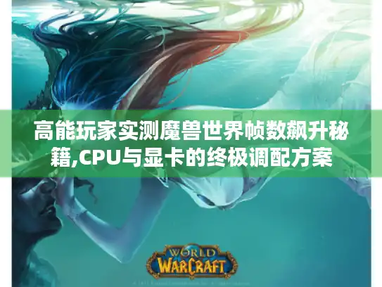 高能玩家实测魔兽世界帧数飙升秘籍,CPU与显卡的终极调配方案