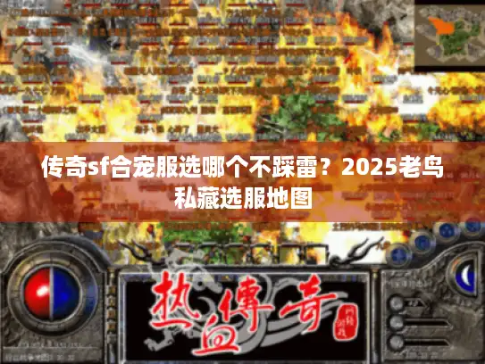 传奇sf合宠服选哪个不踩雷？2025老鸟私藏选服地图