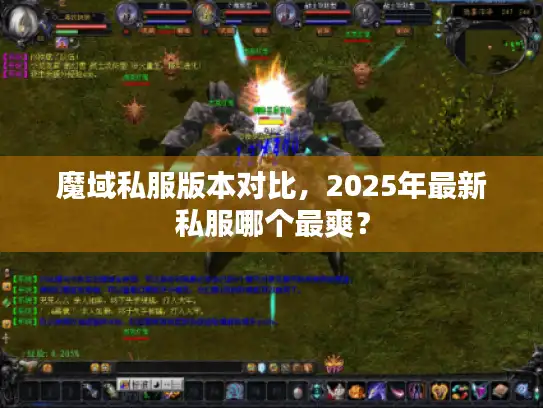 魔域私服版本对比，2025年最新私服哪个最爽？