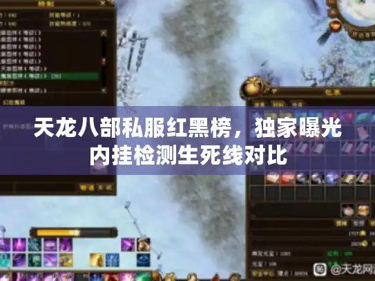 天龙八部私服红黑榜,独家曝光内挂检测生死线对比 天龙八部私服红黑榜,独家曝光内挂检测生死线对比