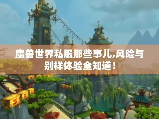 魔兽世界私服那些事儿,风险与别样体验全知道! 魔兽世界私服那些事儿,风险与别样体验全知道!