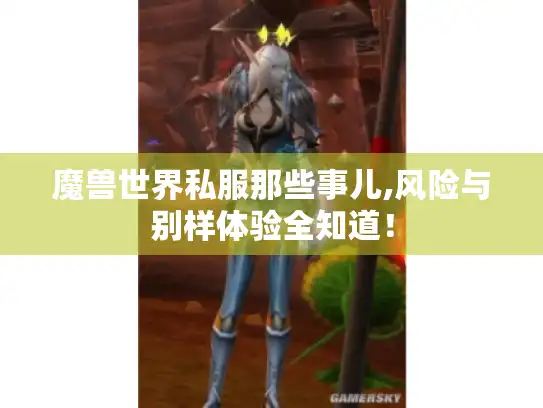魔兽世界私服那些事儿,风险与别样体验全知道! 魔兽世界私服那些事儿,风险与别样体验全知道!