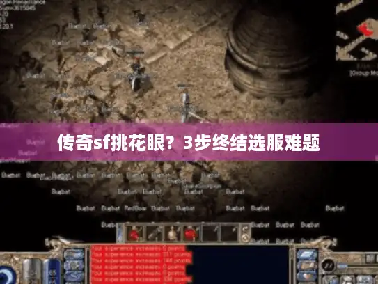 传奇sf挑花眼？3步终结选服难题