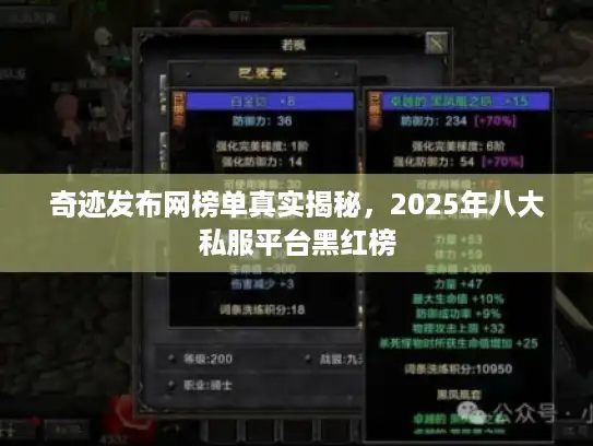 奇迹发布网榜单真实揭秘,2025年八大私服平台黑红榜 奇迹发布网榜单真实揭秘,2025年八大私服平台黑红榜