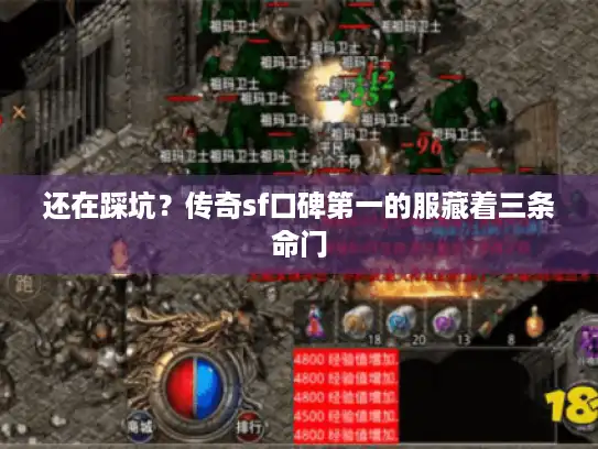 还在踩坑？传奇sf口碑第一的服藏着三条命门
