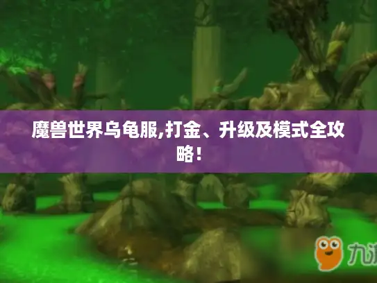 魔兽世界乌龟服,打金、升级及模式全攻略！