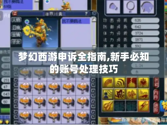 梦幻西游申诉全指南,新手必知的账号处理技巧 梦幻西游申诉全指南,新手必知的账号处理技巧