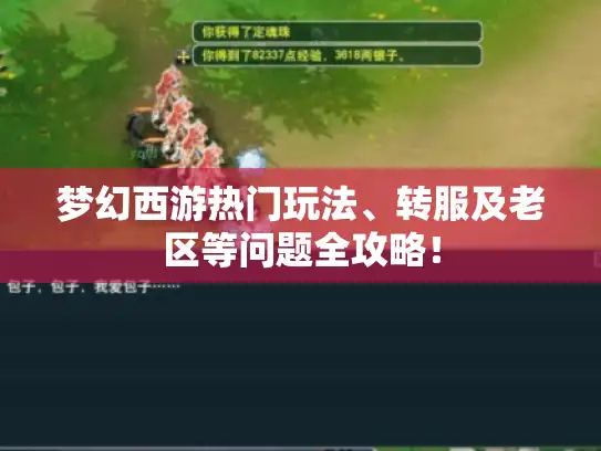 梦幻西游热门玩法、转服及老区等问题全攻略! 梦幻西游热门玩法、转服及老区等问题全攻略!