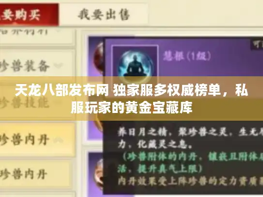 天龙八部发布网 独家服多权威榜单，私服玩家的黄金宝藏库