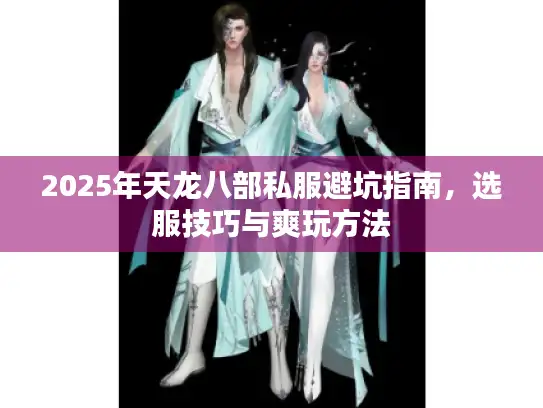 2025年天龙八部私服避坑指南，选服技巧与爽玩方法