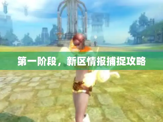 第一阶段，新区情报捕捉攻略