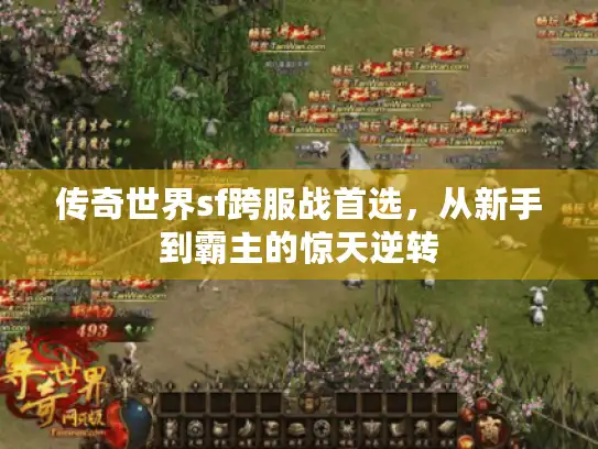 传奇世界sf跨服战首选，从新手到霸主的惊天逆转