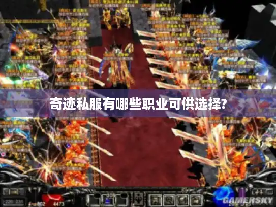 奇迹私服有哪些职业可供选择?