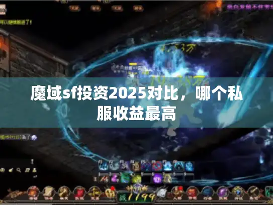 魔域sf投资2025对比，哪个私服收益最高