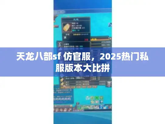 天龙八部sf 仿官服，2025热门私服版本大比拼