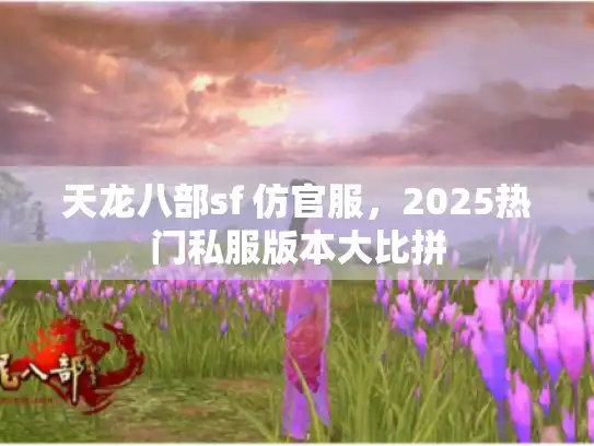 天龙八部sf 仿官服，2025热门私服版本大比拼