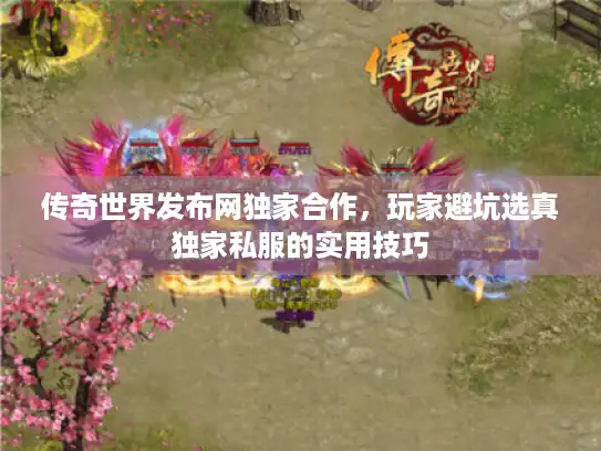 传奇世界发布网独家合作，玩家避坑选真独家私服的实用技巧