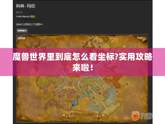 魔兽世界里到底怎么看坐标?实用攻略来啦！