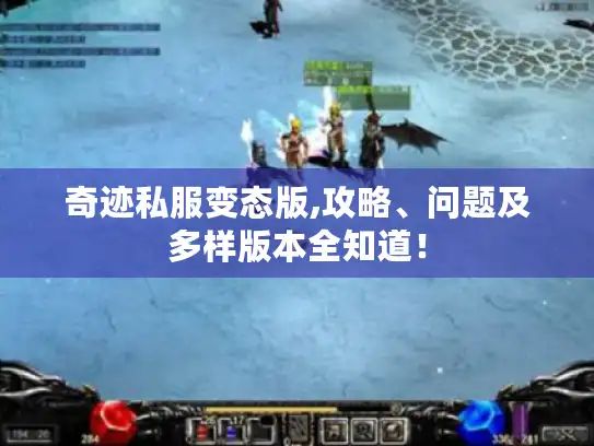 奇迹私服变态版,攻略、问题及多样版本全知道！