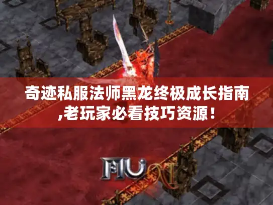 奇迹私服法师黑龙终极成长指南,老玩家必看技巧资源！