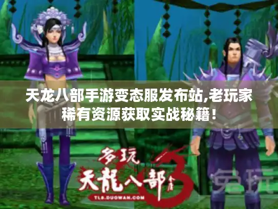 天龙八部手游变态服发布站,老玩家稀有资源获取实战秘籍！