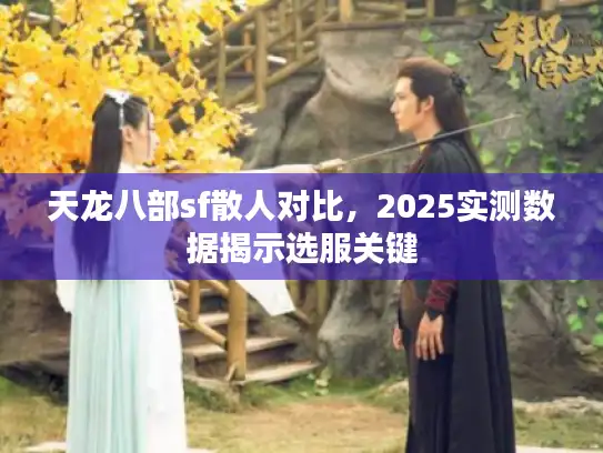 天龙八部sf散人对比，2025实测数据揭示选服关键