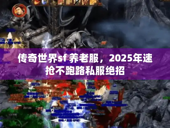 传奇世界sf 养老服，2025年速抢不跑路私服绝招
