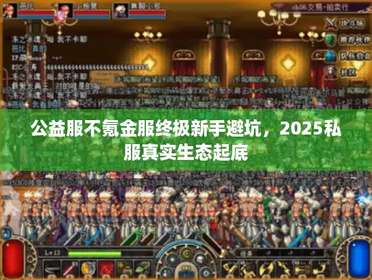 公益服不氪金服终极新手避坑，2025私服真实生态起底