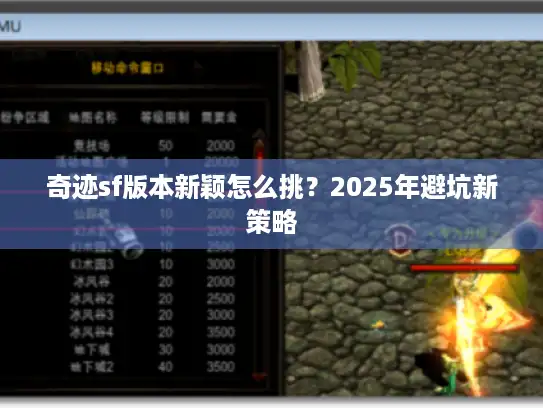 奇迹sf版本新颖怎么挑？2025年避坑新策略
