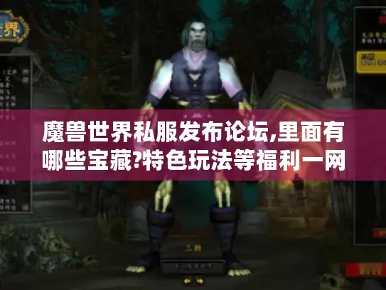 魔兽世界私服发布论坛,里面有哪些宝藏?特色玩法等福利一网打尽！