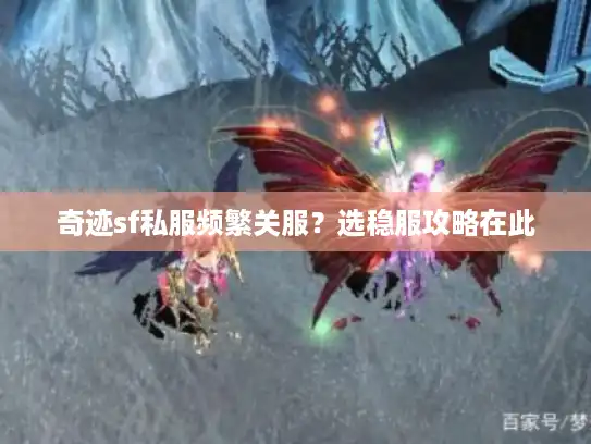 奇迹sf私服频繁关服？选稳服攻略在此
