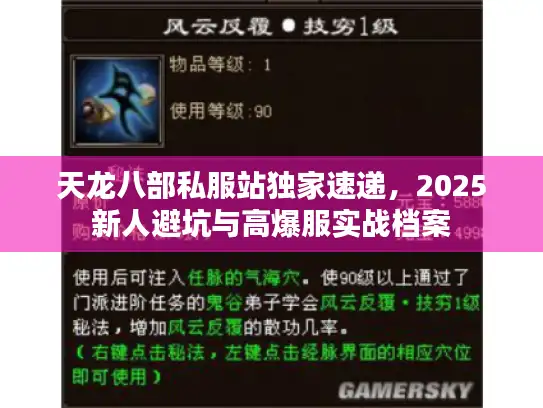 天龙八部私服站独家速递,2025新人避坑与高爆服实战档案 天龙八部私服站独家速递,2025新人避坑与高爆服实战档案