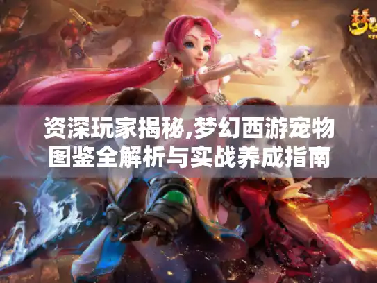 资深玩家揭秘,梦幻西游宠物图鉴全解析与实战养成指南