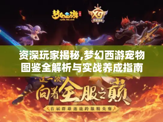 资深玩家揭秘,梦幻西游宠物图鉴全解析与实战养成指南