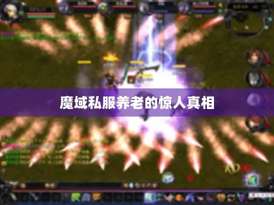 魔域私服养老的惊人真相