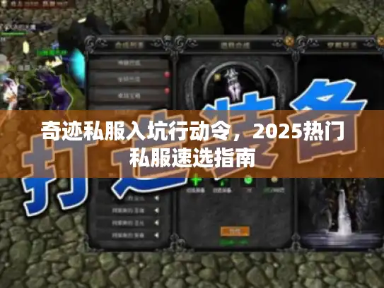 奇迹私服入坑行动令,2025热门私服速选指南 奇迹私服入坑行动令,2025热门私服速选指南