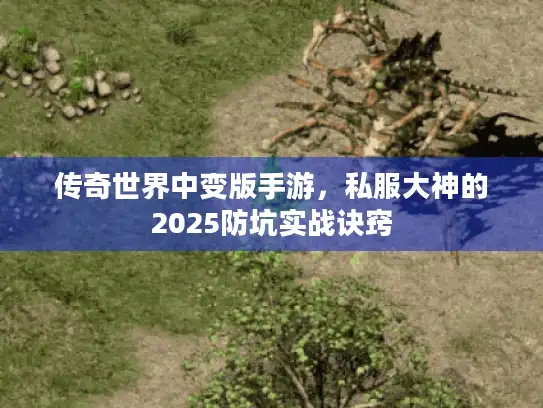 传奇世界中变版手游，私服大神的2025防坑实战诀窍