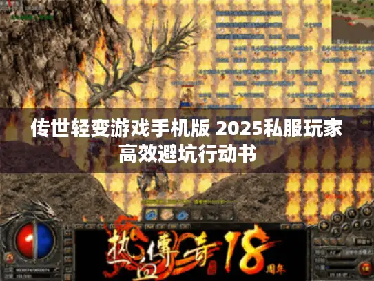 传世轻变游戏手机版 2025私服玩家高效避坑行动书