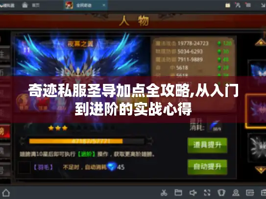 奇迹私服圣导加点全攻略,从入门到进阶的实战心得