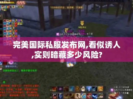 完美国际私服发布网,看似诱人,实则暗藏多少风险?