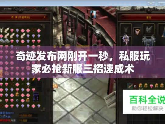 奇迹发布网刚开一秒，私服玩家必抢新服三招速成术