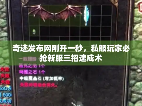 奇迹发布网刚开一秒，私服玩家必抢新服三招速成术